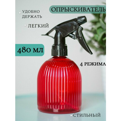 ���� ������������� (�����������) ��� ���� ������� 480 ��., ������ �� 249 ���