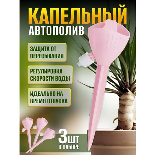 ���� ��������� ��� ��������� �������� ��������� �����, ������ �� 550 ���