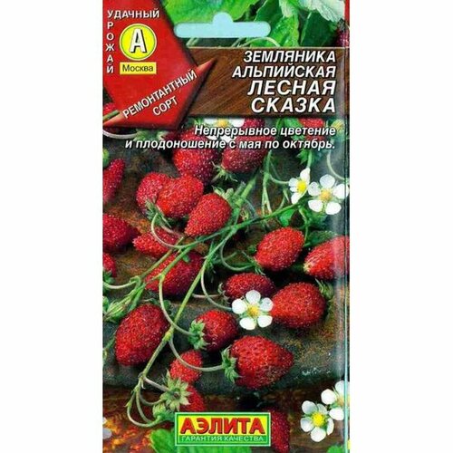 ���� ������ ��������� ������ ������ (������) 0,04�, ������ �� 41 ���