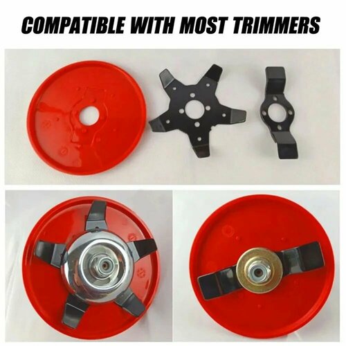 ���� ����������, ������ �� 1319 ���