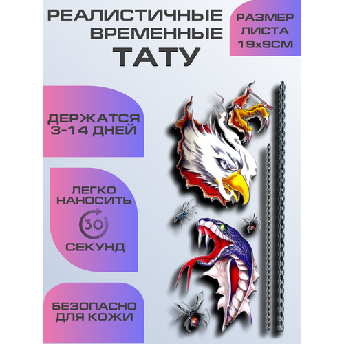 ���� ���� ���������� ��������������, ��������� ����, ������ �� 399 ���