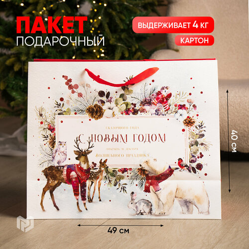 ���� ����� ���������� �������� ������, XL 49 � 40 � 19 ��, ���������� �����, ������ �� 328 ���