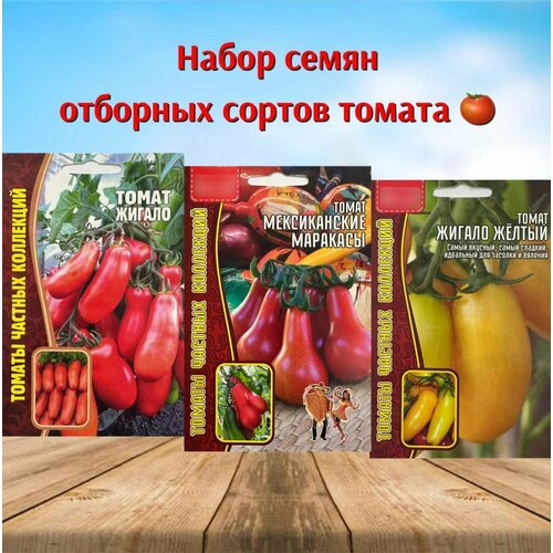 ���� ������ ������ ����� ������ � �������� , ����� 3 ��., ������ �� 336 ���