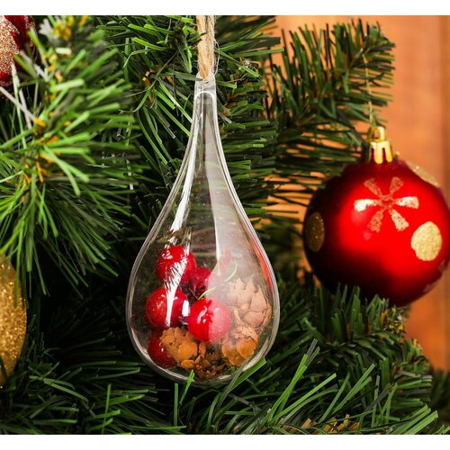 ���� ���������� �������� ���������� 