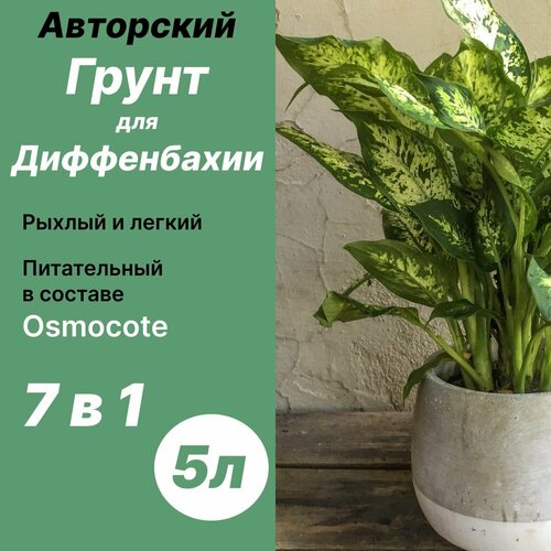 ���� ����� ��� ����������� 5� / �������, ������ �� 640 ���