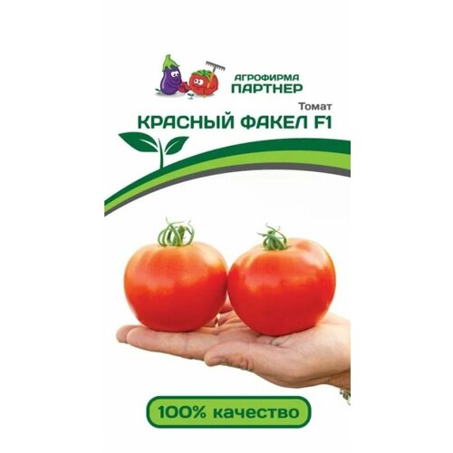 ���� ������ ����� ������� ����� F1 5�� ����� ������ (�������), ������ �� 319 ���