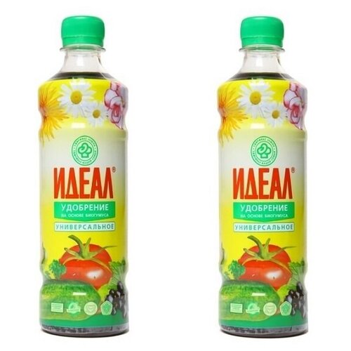 ���� ��������� ����������� ����������������� 