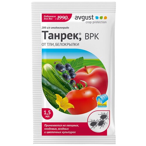 ���� Avgust �������� ������ �� ��� � ����������, 1.5 ��, ������ �� 73 ���