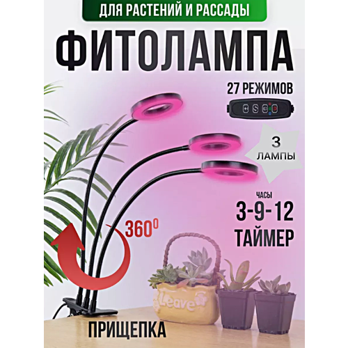       ,       , , 3 ,   1709 