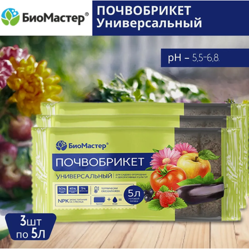 ���� �������� ����������� ������������� �� ��������� ����� 5 � 3 �����, ������ �� 525 ���