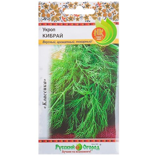 ���� ������. ����� 