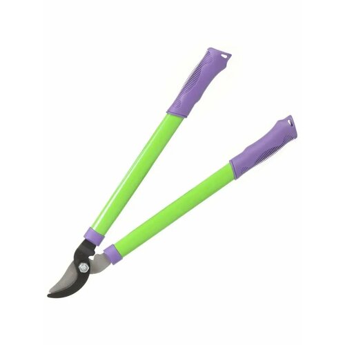 ���� �������� ������� ���� 520��, ������ �� 3172 ���