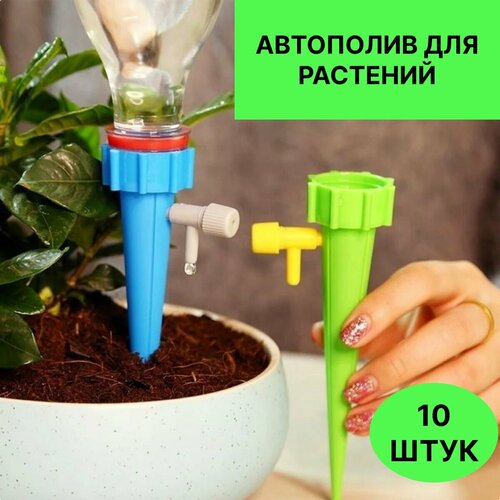 ���� ��������� ����� ��� ������, ������� �� ������� ��� ������, ������ �� 350 ���