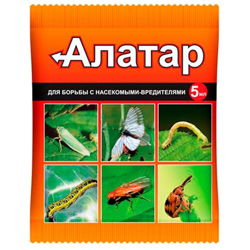 ���� ������ ��� ������ �������� �� ���������� 5 ��. �� ������������ ����, �������, ���, �������, �����������, ����������, ������� �����, ����, ������ �� 335 ���