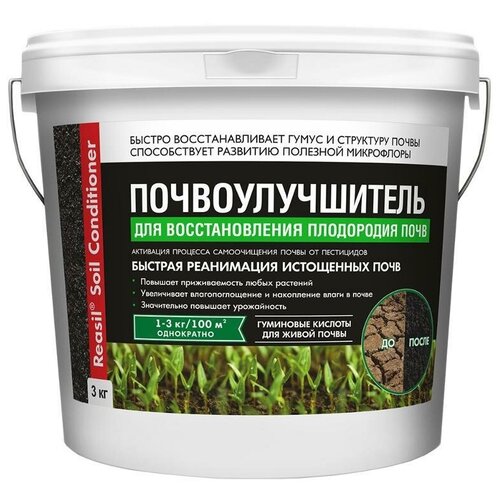 ���� ����������� ����������������� ��������� 