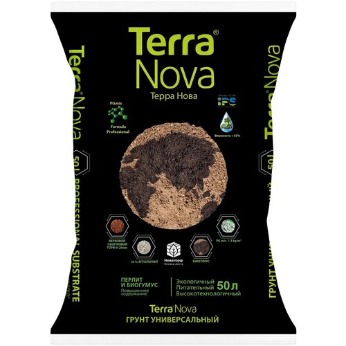 ���� ����������� ����� Terra Nova ������������� � ���������� � ������������, 50 �., ������ �� 1971 ���