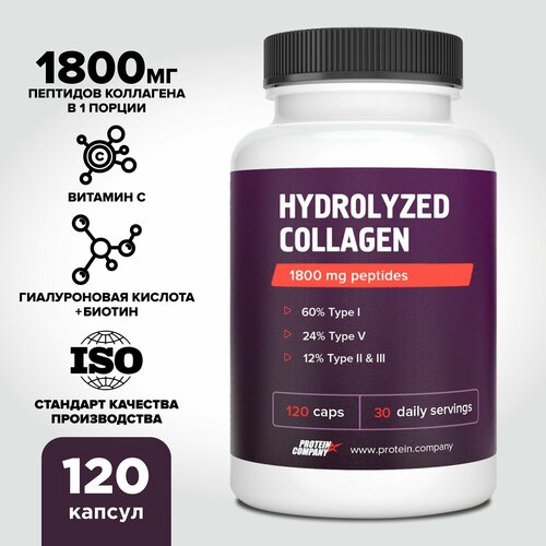 ���� �������� ���������� � ������������ �������� � ��������� � 1800 �� ��������. ��� ��������, ������, �����.120 ������, ������ �� 590 ���