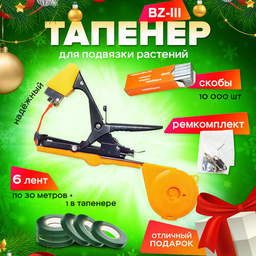       BZ ( +  180  +  +   ),   1990 