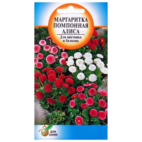 ���� ���������� ����������� ��������� �����, 260 �����, ������ �� 79 ���