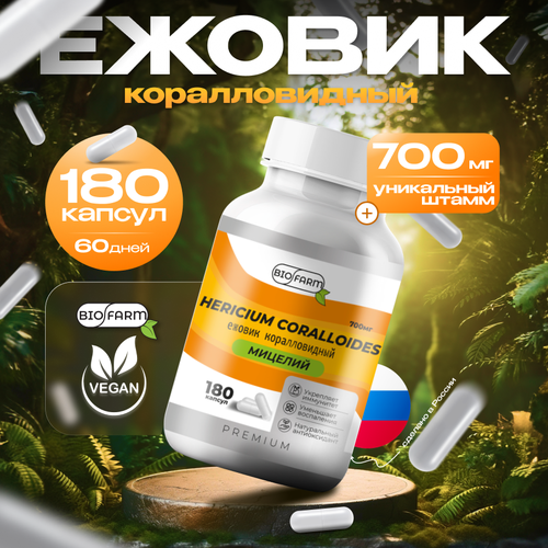 ���� ������ ������������� 700��, ������� ������ �������, hercium coralloides, ������ �� 990 ���