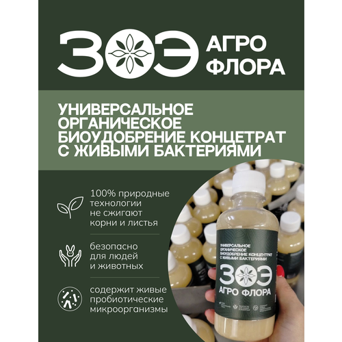 ���� ������������ ��� ���� �����. ������������� ��������� � ������ ���������� � �� ������������ � ����������� �����. ���������� 250 �� �� 125 �2 ������, ���������� � �������������� �����, ���������������., ������ �� 790 ���