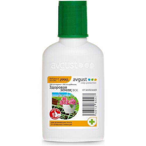  Avgust      , 50    -     , -, 