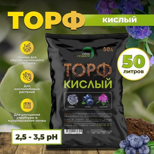 ���� ���� ���� ������� �������� ������ ����������, 50 �, 10 ��, ������ �� 2149 ���