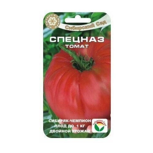 ���� ������� 20�� ����� (��� ���), ������ �� 249 ���