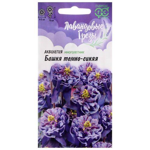 ���� ������ ������ ��������� 