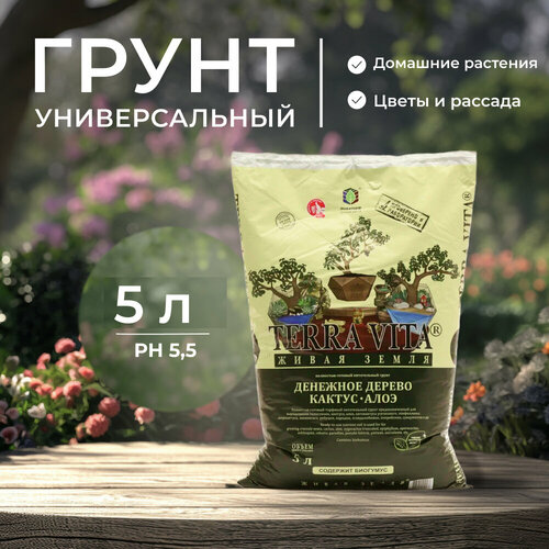 ���� ������������� ����������� ����� ��� ��������, ����, ��������� ������ � ����������� 5 ������, ������� ���������� ����� ����� ��� ������ � ��������� ��������, ������ �� 485 ���