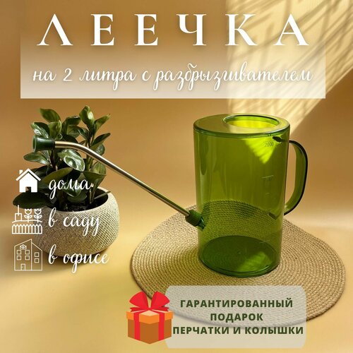 ���� ����� ��� ������ � ��������, ������ �� 1150 ���