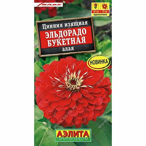 ���� ������ ������ ��������� �������� ����, ����������, (������) 12��, ������ �� 53 ���