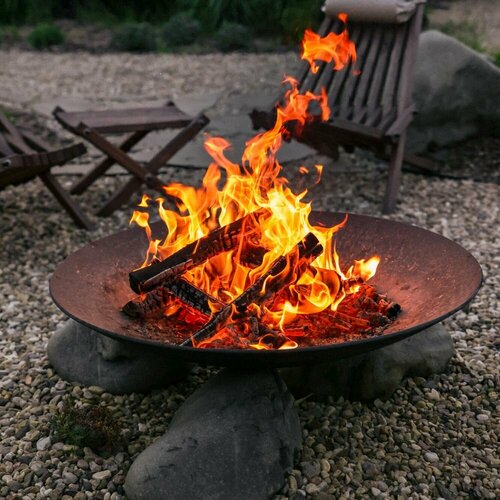 ���� ��������� ���� 