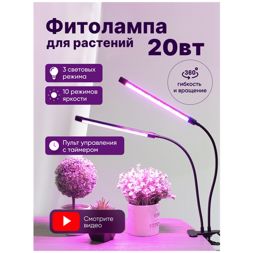 ���� ��������� ������� ������� ��� �������� ��� ���, ������������, ����������, ��� ������� � � ��������� ��������, ������ �� 1100 ���