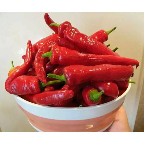 ���� ������������� ������ ����� ������� ������, ������ �� 127 ���