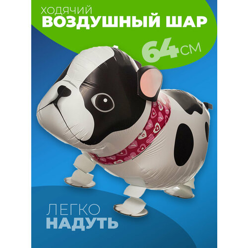 ���� �������������� ������� ��� ������, ������ �� 542 ���