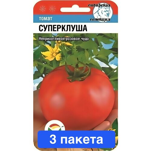 ���� ������ ������ ��������� ��� 