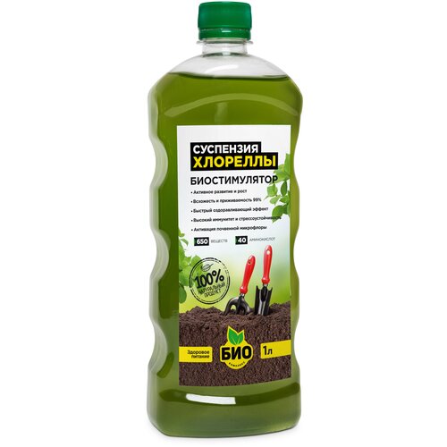 ���� ��������� ���-�������� ��������� ��������, 1 �, 989 �, 1 ��., ������ �� 209 ���