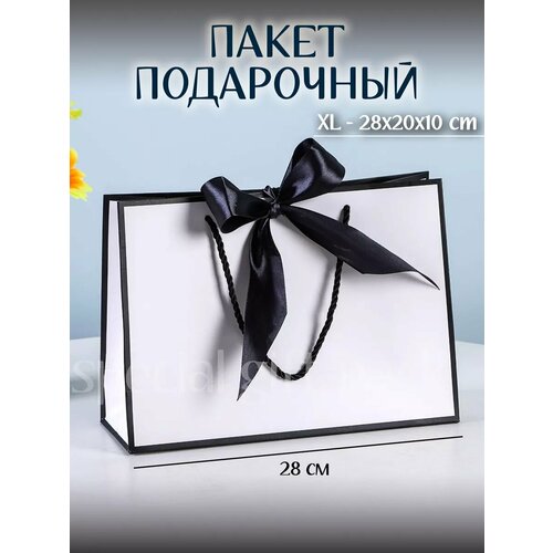 ���� ���������� �����, ������ �� 349 ���