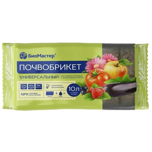 ���� ����������� �������������, 10� 