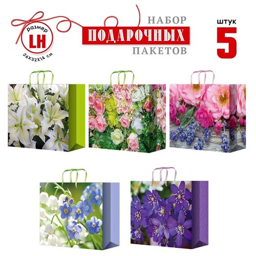 ���� ���������� ������ 