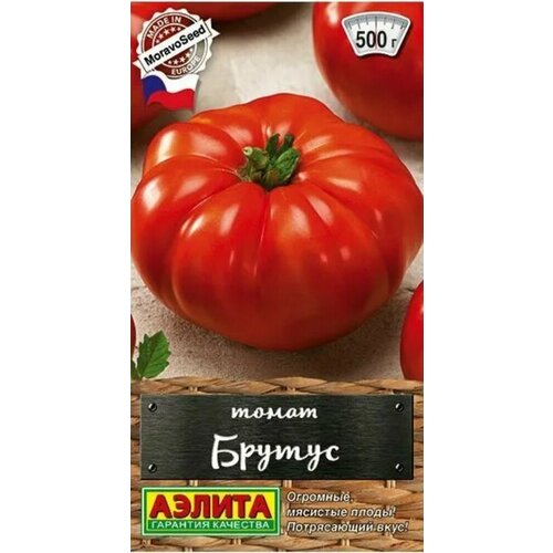 ���� ������ ����� ������ 20�� ����� (������) ������� ������� ��������, ������ �� 42 ���