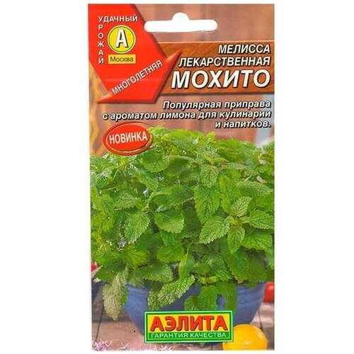 ���� ������. ������� ������������� 