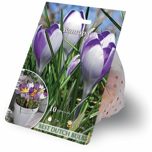 ���� ������ ������� 10 ������� 7/8, ������ �� 1179 ���