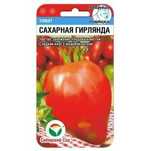 ���� ������ ������ 