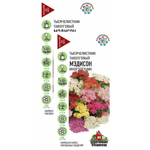 ���� ������������� ������� ����� (0,05 �), 2 ������, ������ �� 249 ���