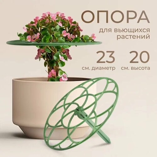 ���� ��������� ��� ������, ��� ��������, ��������������, ����� ��� ��������, ������ � 23�20 1 ��, ������ �� 299 ���