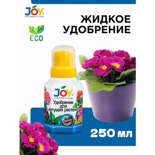     JOY   , 250   -     , -, 