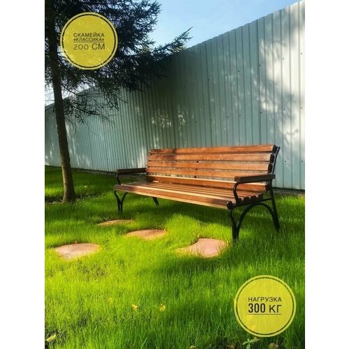 ���� ������� �������� 