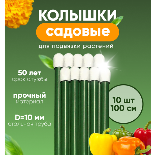 ���� ������� ������� , ����� ��� �������� �������� ����� 1� 10��, ������ �� 770 ���